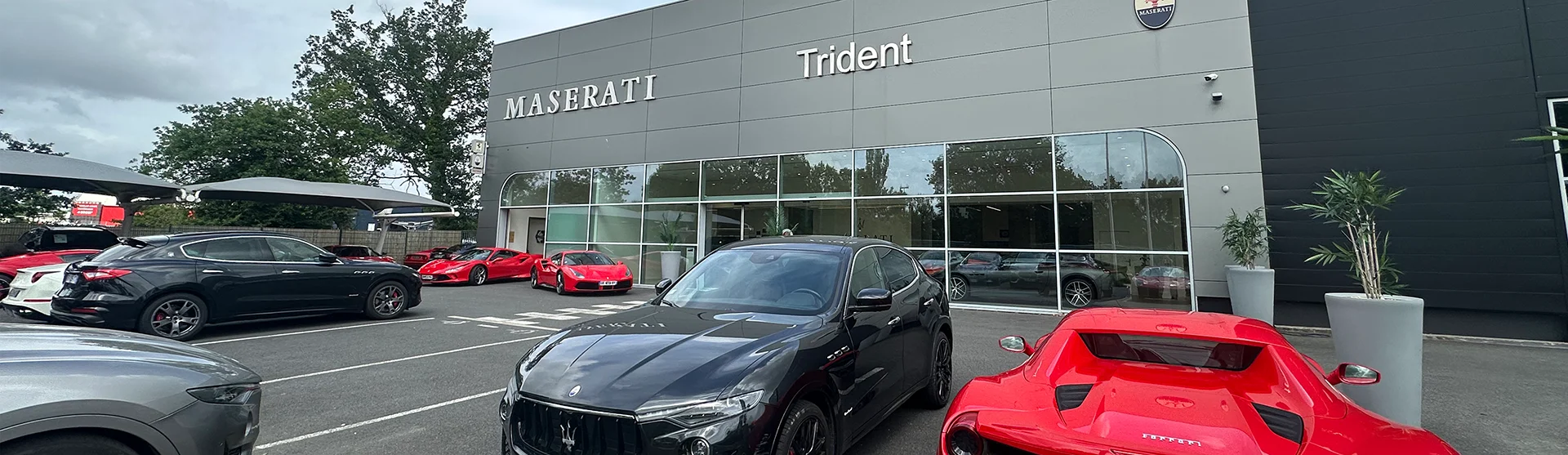 Trident-LRSY