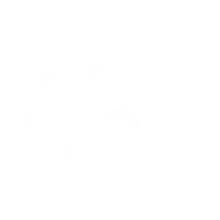 Collaborateurs.png