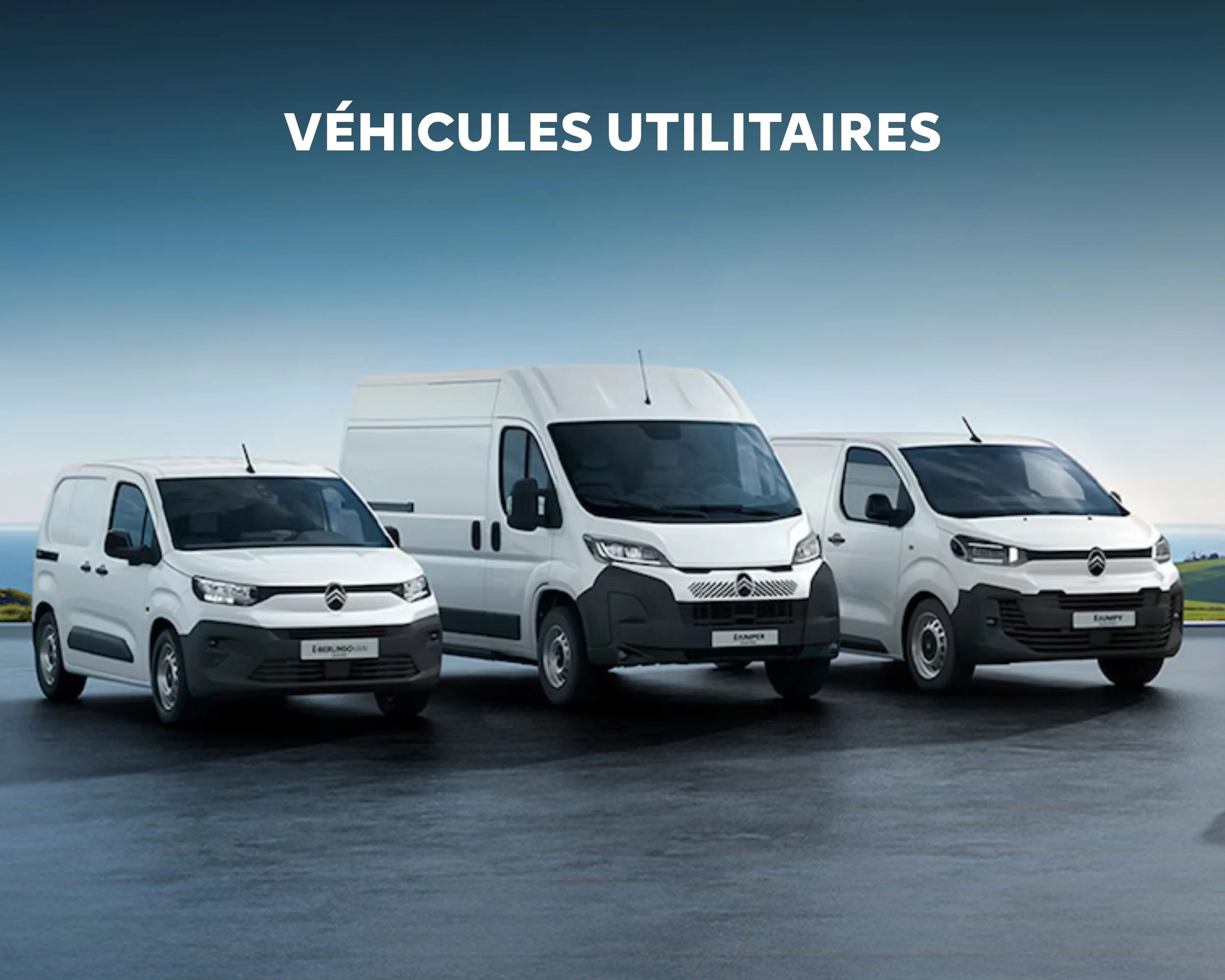 gamme citroen vu