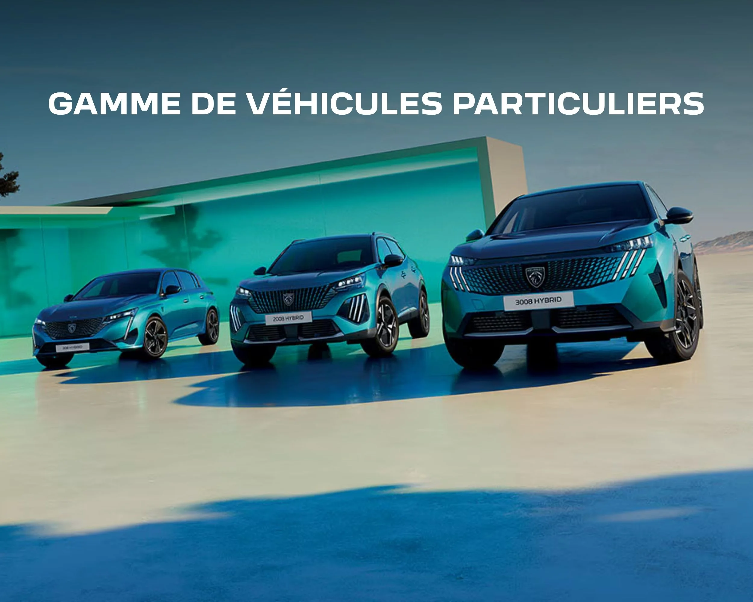 gamme peugeot vp