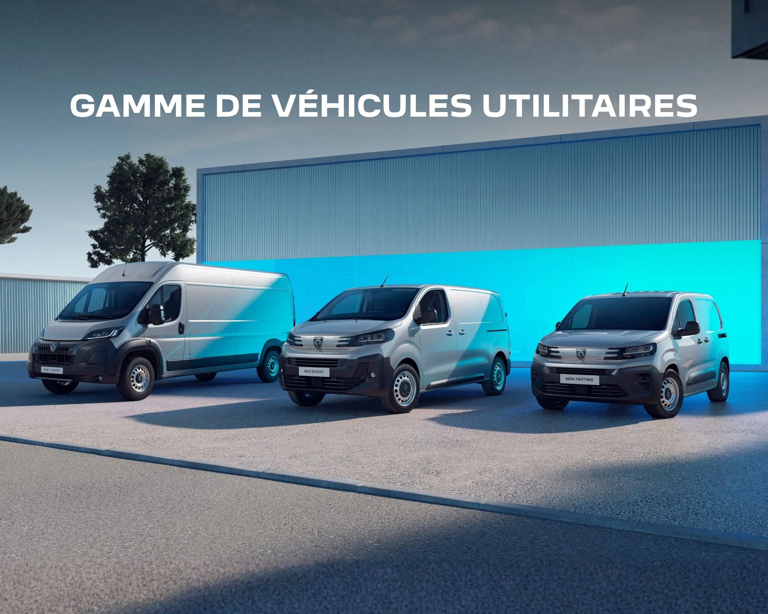 gamme peugeot vu