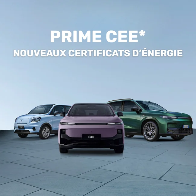 Article CEE 2026