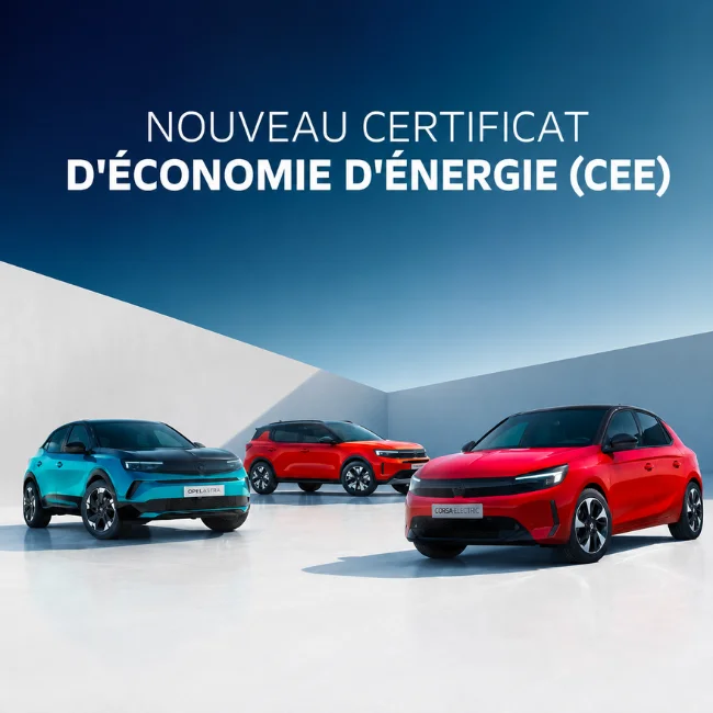 Article CEE 2026